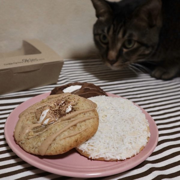 9kiesクッキー